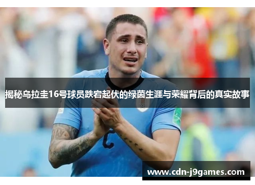 揭秘乌拉圭16号球员跌宕起伏的绿茵生涯与荣耀背后的真实故事