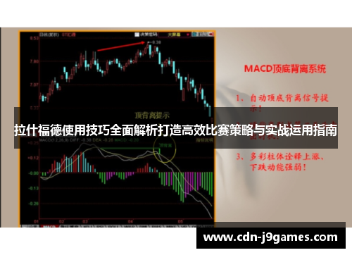 拉什福德使用技巧全面解析打造高效比赛策略与实战运用指南