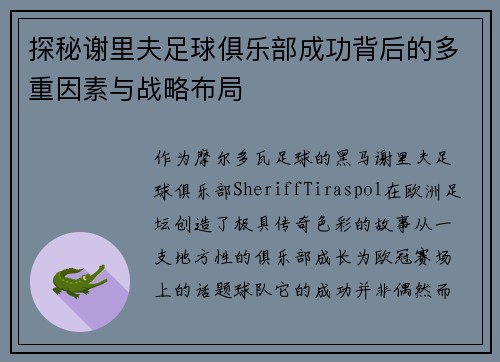 探秘谢里夫足球俱乐部成功背后的多重因素与战略布局