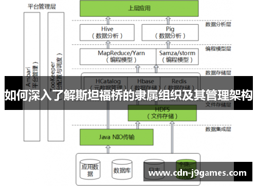 如何深入了解斯坦福桥的隶属组织及其管理架构