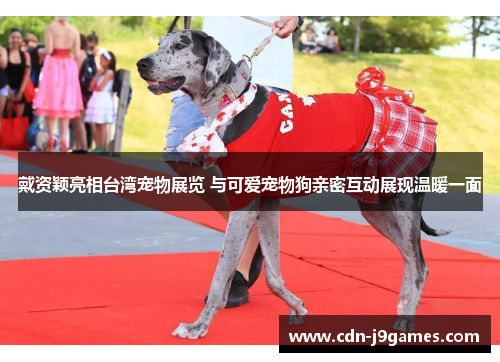 戴资颖亮相台湾宠物展览 与可爱宠物狗亲密互动展现温暖一面