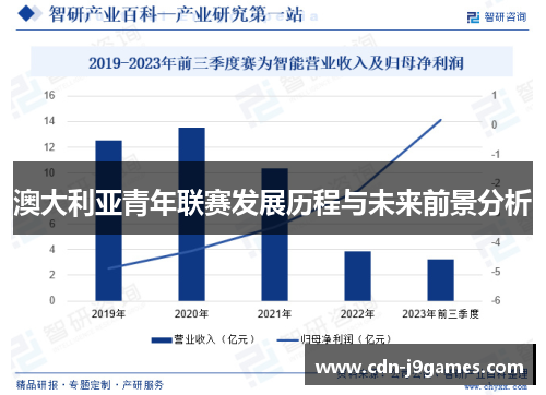 澳大利亚青年联赛发展历程与未来前景分析