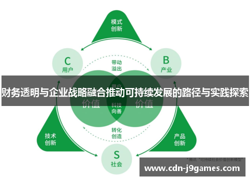 财务透明与企业战略融合推动可持续发展的路径与实践探索